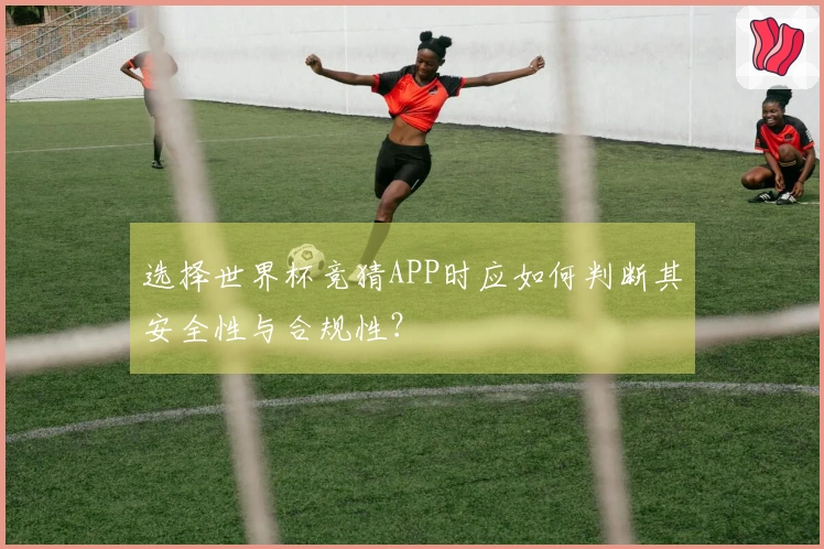 选择世界杯竞猜APP时应如何判断其安全性与合规性？