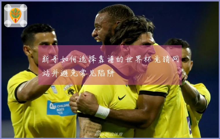 新手如何选择靠谱的世界杯竞猜网站并避免常见陷阱
