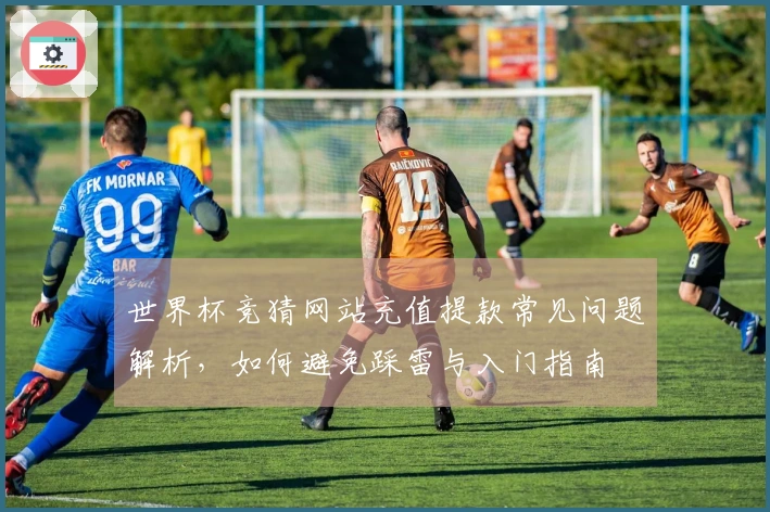 世界杯竞猜网站充值提款常见问题解析，如何避免踩雷与入门指南
