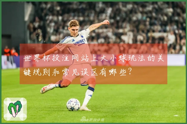 世界杯投注网站上大小球玩法的关键规则和常见误区有哪些？