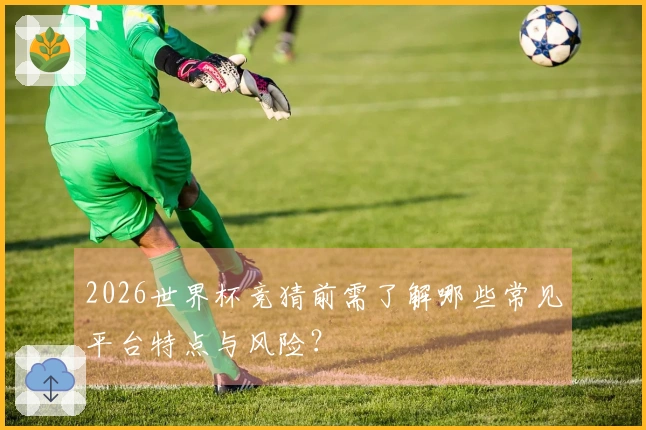 2026世界杯竞猜前需了解哪些常见平台特点与风险？