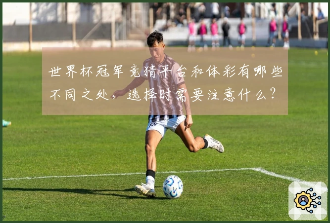 世界杯冠军竞猜平台和体彩有哪些不同之处，选择时需要注意什么？