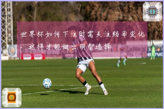 世界杯如何下注时需关注赔率变化，这样才能做出明智选择