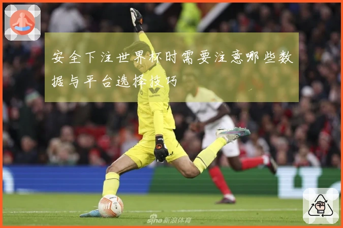 安全下注世界杯时需要注意哪些数据与平台选择技巧
